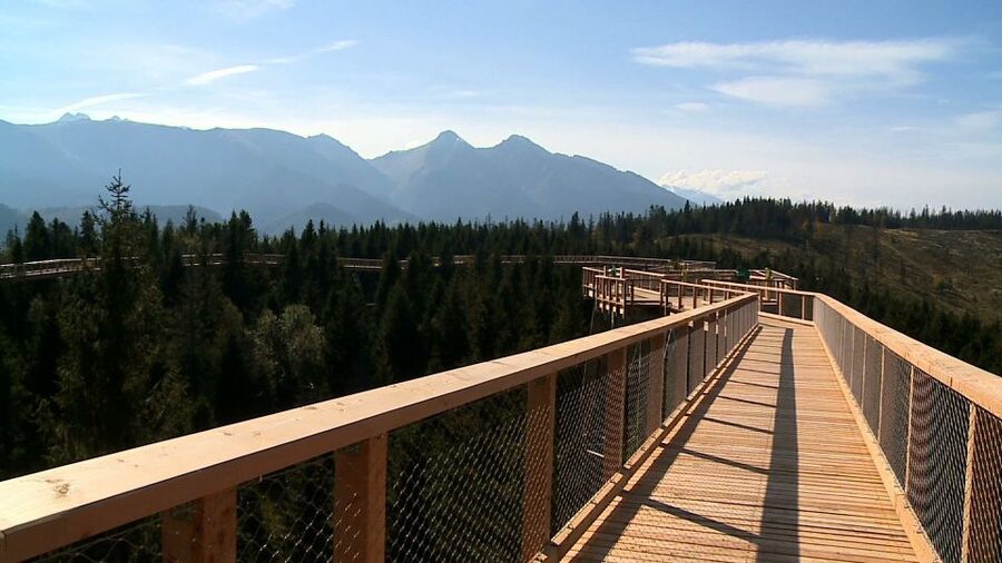 From Kraków: Slovakia Treetop Walk and Tour of Zakopane - The 60-metre slide choice: adrenaline on your terms
