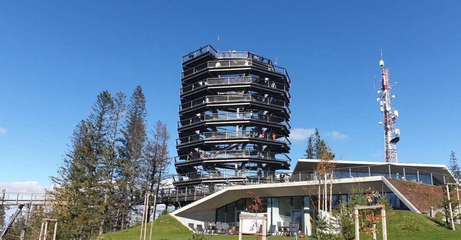 From Krakow: Slovakia Treetop Walk and Zakopane Tour - Key highlights you’ll feel on the ground