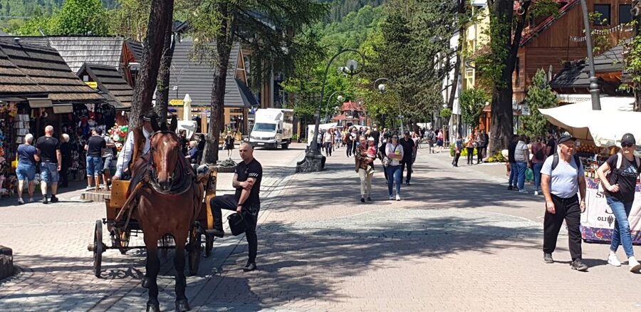 From Krakow: Slovakia Treetop Walk and Zakopane Tour - Who this tour suits best (and who should rethink it)