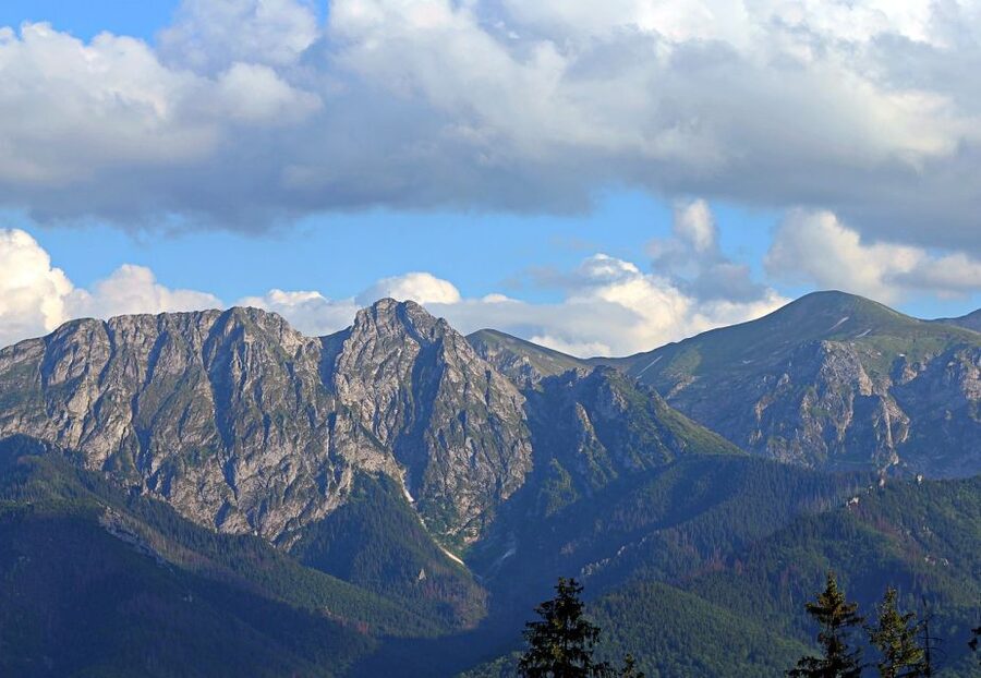 From Krakow: Slovakia Treetop Walk and Zakopane Tour - Small practical tips that improve your day