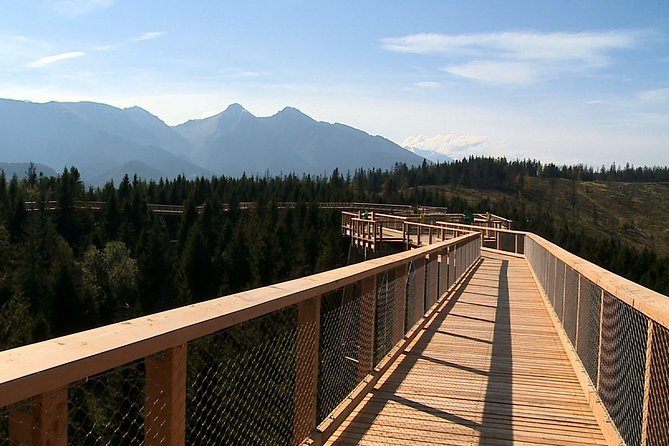 From Kraków: Slovakia Treetop Walk Bachledka and Zakopane - Krakow to Slovakia and back in one day: the practical appeal