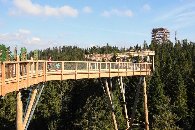 From Kraków: Slovakia Treetop Walk Bachledka and Zakopane - Treetop Walk Bachledka: 600 meters above the pines