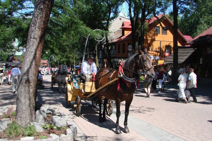 From Krakow: Slovakia Treetop Walk, Zakopane & Thermal Spa - Key things to know before you go