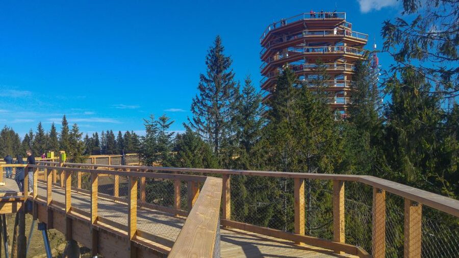 From Krakow: Slovakia Treetop Walk, Zakopane & Thermal Spa - Why This Day Trip Works: Treetops, Tatras, and Hot Springs