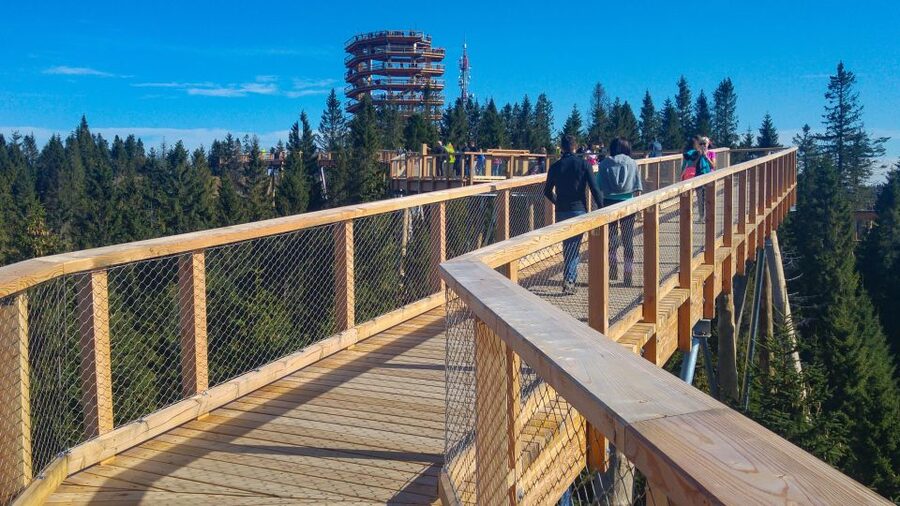From Krakow: Slovakia Treetop Walk, Zakopane & Thermal Spa - Mountain Nature Details You’ll Actually Notice