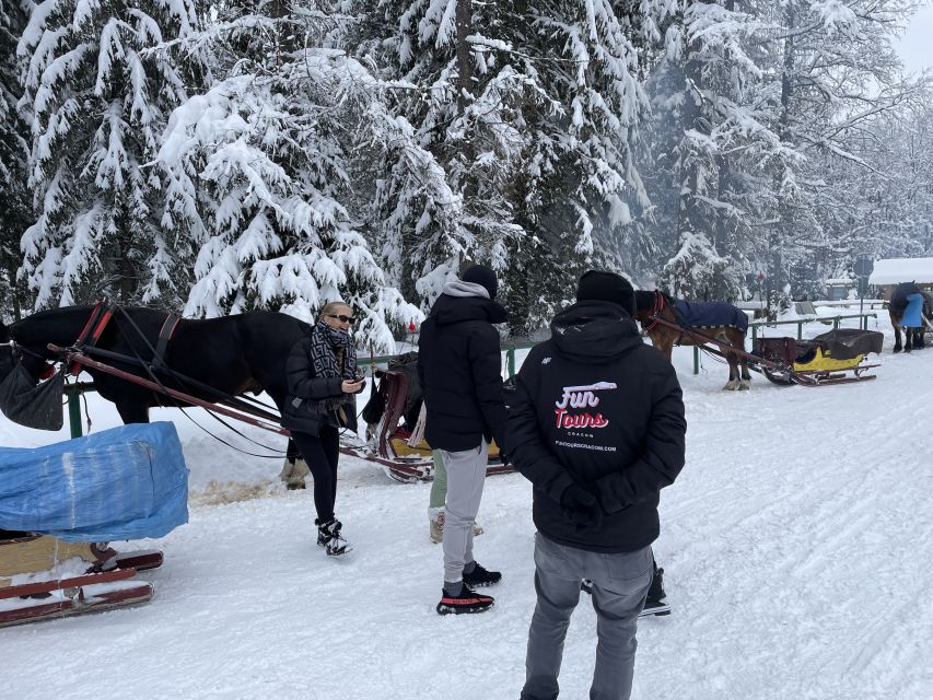 From Krakow: Snowmobile, Zakopane & Chochołowskie Baths - Guides, Vibe, and the Small Details That Make It Feel Worth It