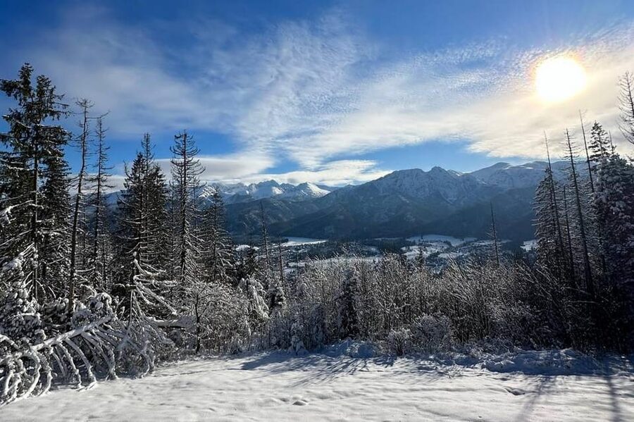 From Krakow: Tour to Zakopane with Tasting & Hotel Pickup - Price and Value: Why $86 Can Work (If You Want the Whole Package)