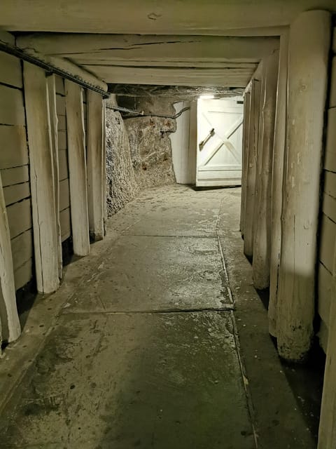 From Krakow: Wieliczka Salt Mine Guided Tour (Hotel Pick-up) - Getting Into the Wieliczka Salt Mine: Skip the Line, Then Face the Steps