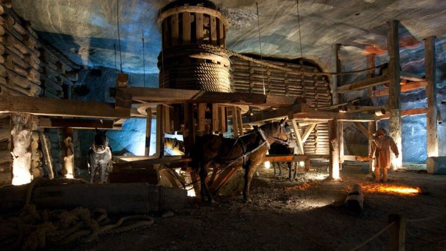 From Krakow: Wieliczka Salt Mine Guided Tour & Transfer - To time Your Day: Elevator Up, Restroom Timing, and Wraparound Transfer