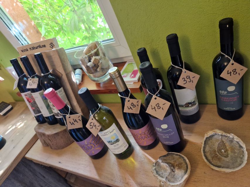From Krakow: Wine Tasting at Vineyard - Key points at a glance