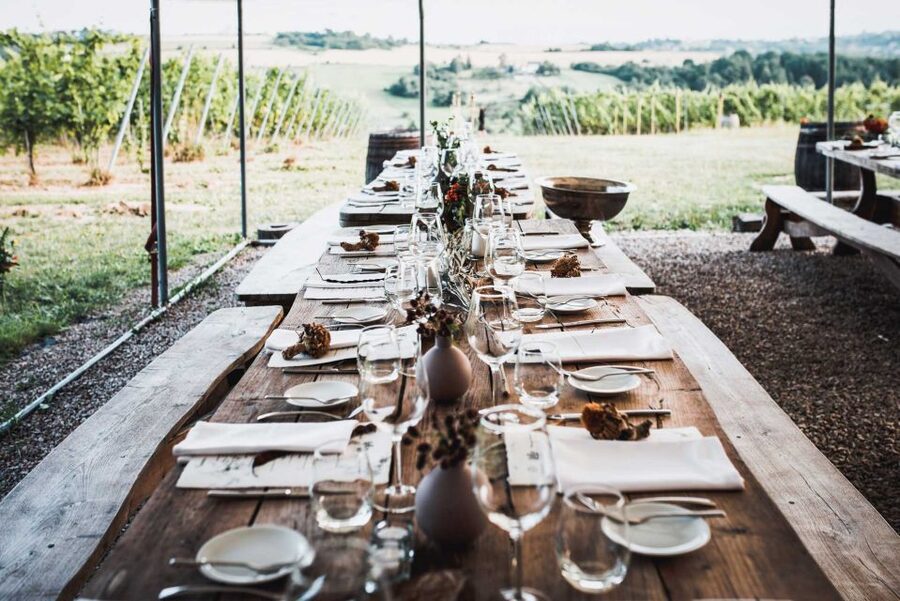 From Krakow: Wine Tasting at Vineyard - Price and value for a small-group vineyard visit