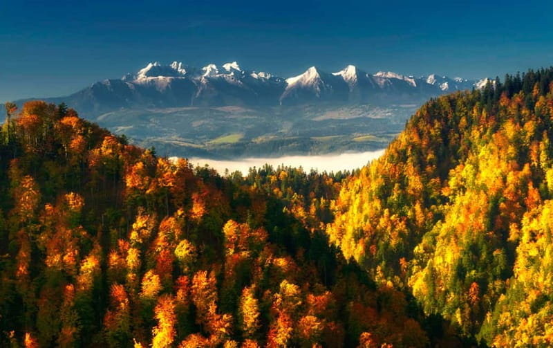 From Kraków: Witów Skiing and Zakopane Tour - Chocholow village and wooden chapels: what you see before the snow