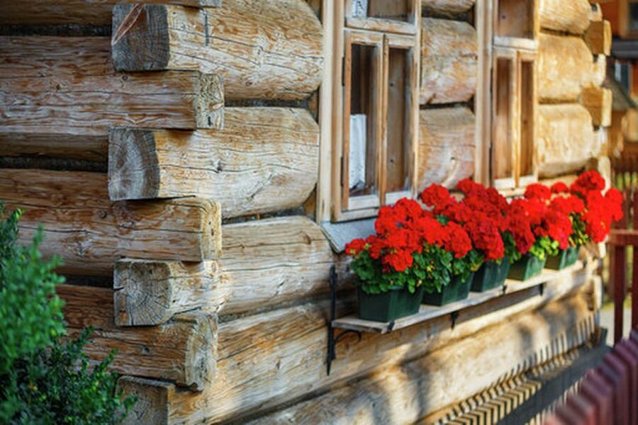 From Krakow: Zakopane and Dunajec River Rafting Tour - Key Things You’ll Notice On This Tour