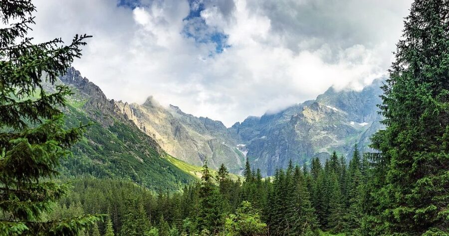From Krakow: Zakopane and Dunajec River Rafting Tour - Price and Value: Is $227 Worth It?