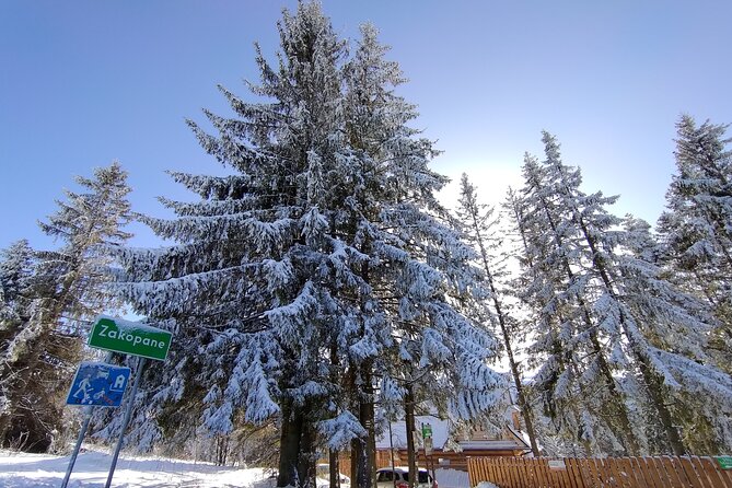 From Krakow: Zakopane & Chocholowskie Thermal Baths - A smooth mountain day: Zakopane plus Chocholowskie Termy