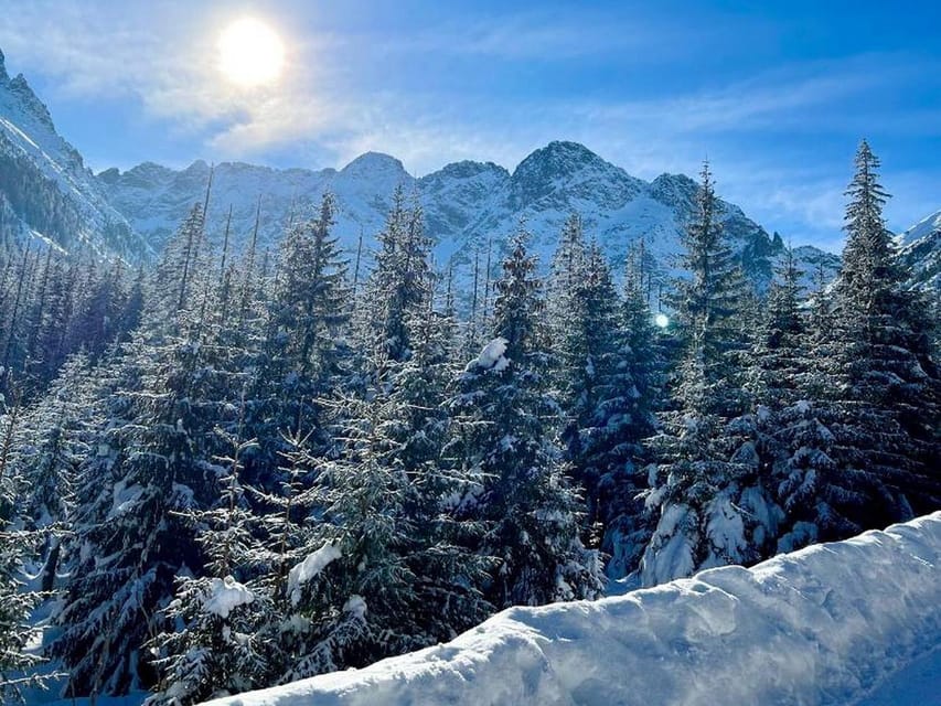 From Krakow: Zakopane Day Trip with Funicular & Food Tasting - Who should book this Zakopane day trip
