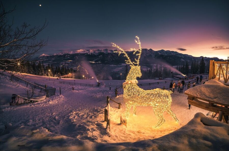 From Krakow: Zakopane & Hot Thermal Springs Private Tour - Guides and Driver Care: What You Can Expect from the Team