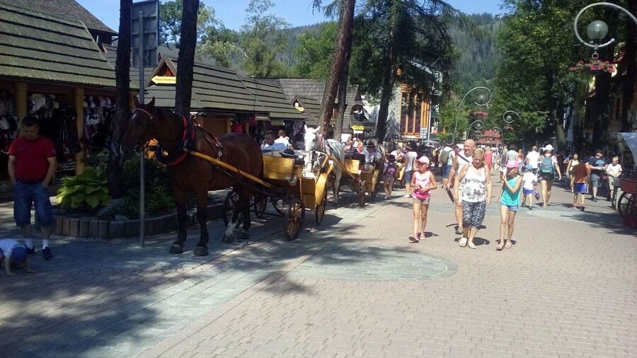 From Krakow: Zakopane & Hot Thermal Springs Private Tour - Zakopane Town for Two Hours: Highland Style, Lunch, and Souvenirs