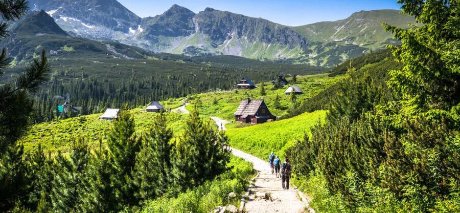 From Krakow: Zakopane & Hot Thermal Springs Private Tour - Chocholowska Thermal Baths: The Best Part to End With