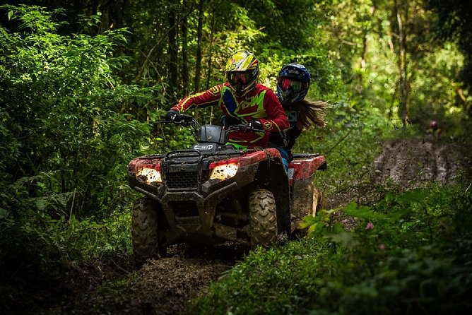 From Krakow: Zakopane in Tatra Mountains and Quad Bikes - Price and value: why $60 can work for the mix