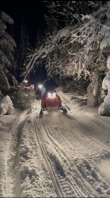 From Krakow: Zakopane Snowmobile NIGHT Ride, Bonfire, - Snowmobile Time: Training, Safety Briefing, and the Real Rush