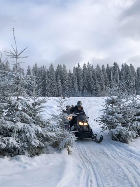 From Krakow: Zakopane Snowmobile NIGHT Ride, Bonfire, - Bonfire Night: Mulled Wine, Grilled Oscypek, and Warming Up for Real