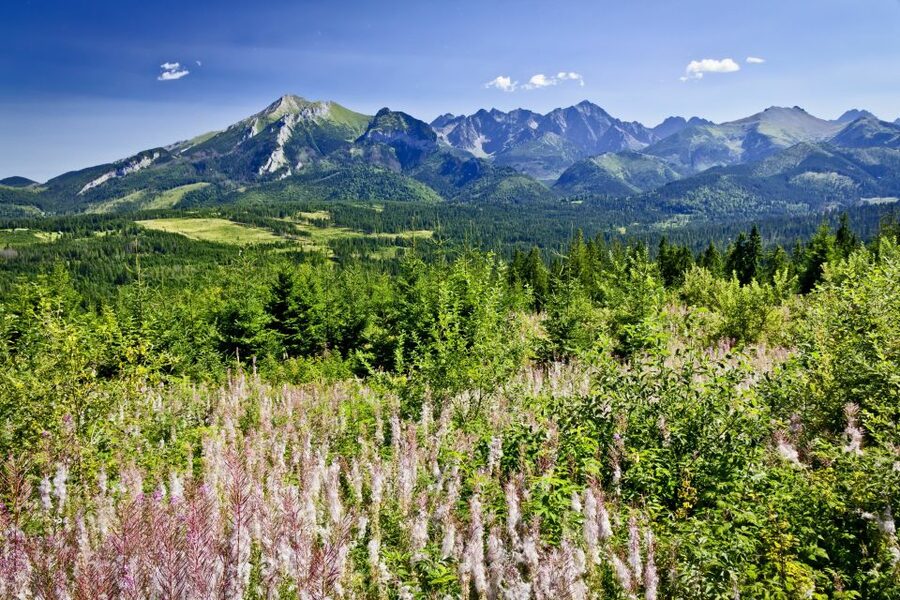 From Krakow: Zakopane Tatra Mountains & Hot Springs Tour - A Day in Zakopane That Balances Views and Soaking