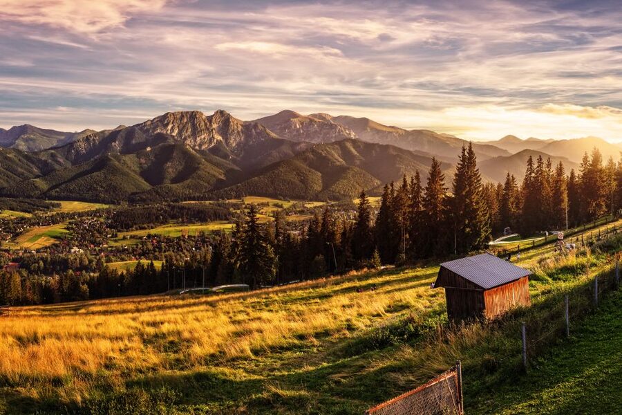 From Krakow: Zakopane Tatra Mountains & Hot Springs Tour - Krupowki Street: Souvenirs, Local Energy, and Quick Meals