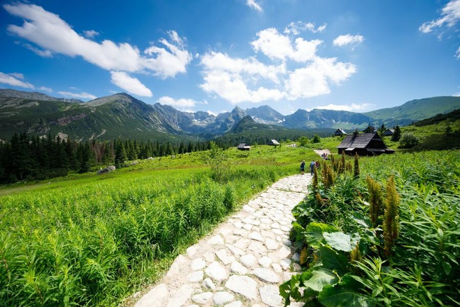 From Krakow: Zakopane Tatra Mountains & Hot Springs Tour - Chocholowska Thermal Baths: Mineral Water and Indoor-Outdoor Soaking