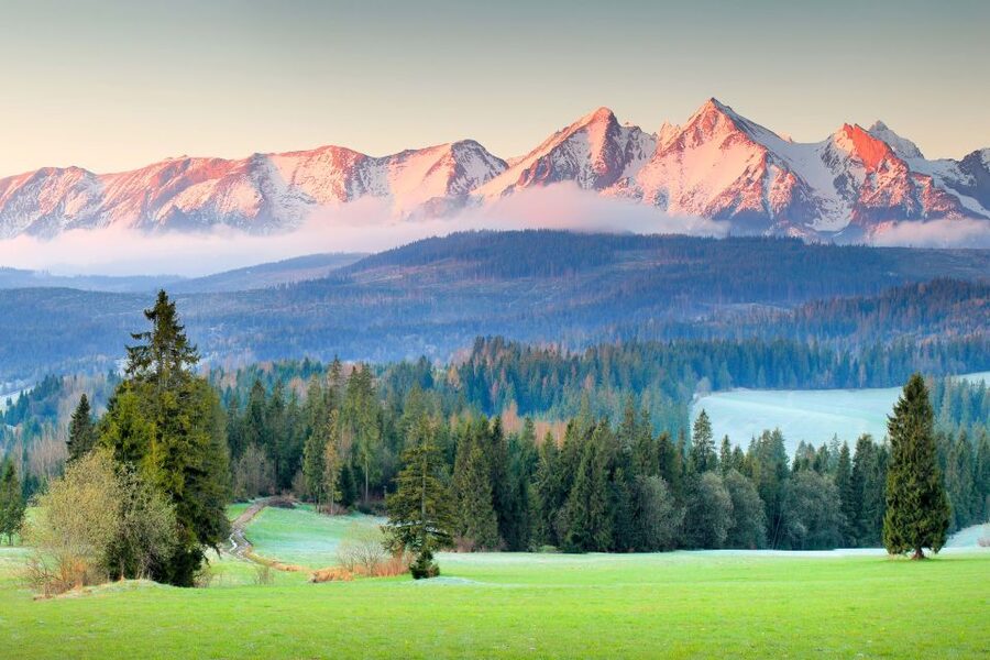 From Krakow: Zakopane & Tatra Mountains Tour - Why a Zakopane day trip feels different from a quick stop