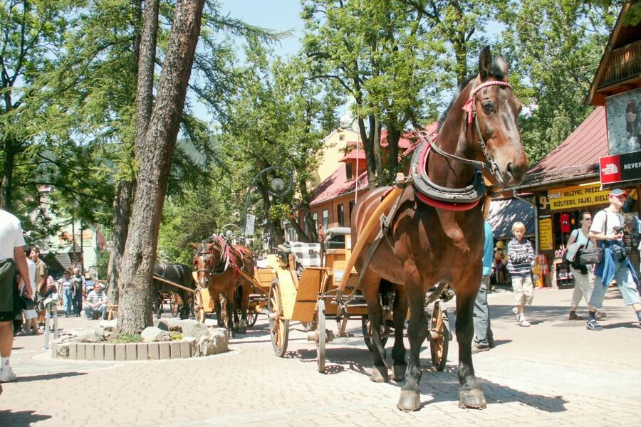 From Krakow: Zakopane & Tatra Mountains Tour - Krupówki in Zakopane: shopping time that doesn’t feel rushed