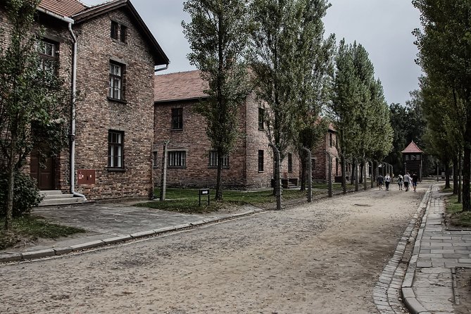 Full-Day Auschwitz and Birkenau Tour from Krakow with Private Transfer - Getting Comfortable: Bags, Rain, Food, and Uneven Ground