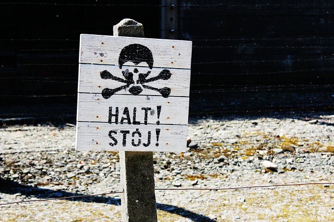 Full-Day Tour of Auschwitz-Birkenau and Salt Mine from Krakow - Auschwitz-Birkenau museum: seeing the barracks and gas chambers with a guide