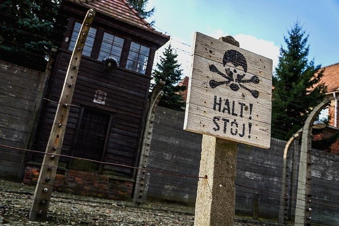 Full day tour to Auschwitz-Birkenau and Salt Mine with a local guide from Krakow - Pickup and minivan comfort: how to start the day without stress