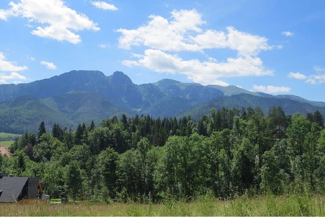 Full-Day Zakopane and Slovakia Treetop Walk From Krakow - Key highlights worth planning around