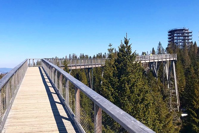 Full-Day Zakopane and Slovakia Treetop Walk From Krakow - Zakopane: the funicular to Gubalowka and why it’s worth it