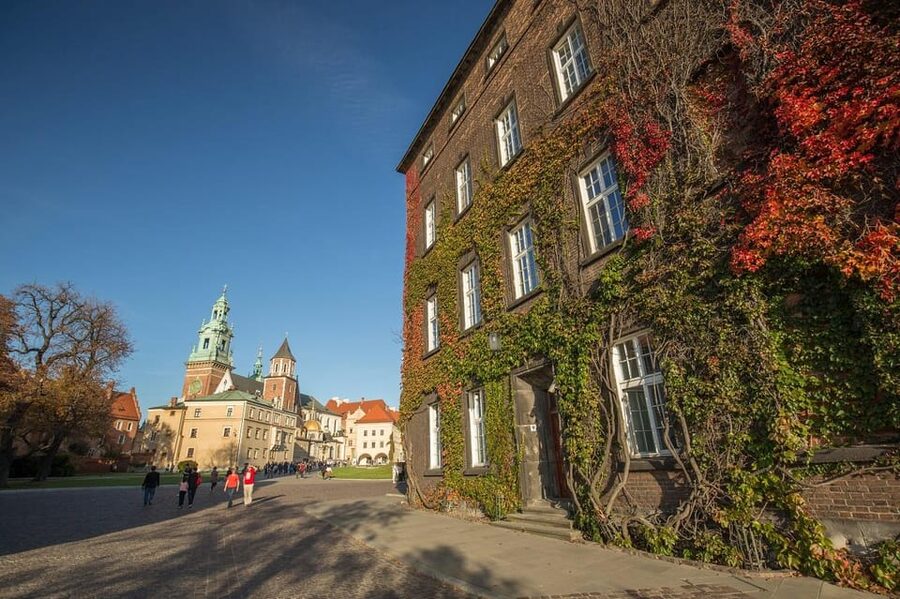 Guided Tour of the Wawel Castle & Cathedral in Cracow - Wawel Cathedral: coronation space and gilded chapels
