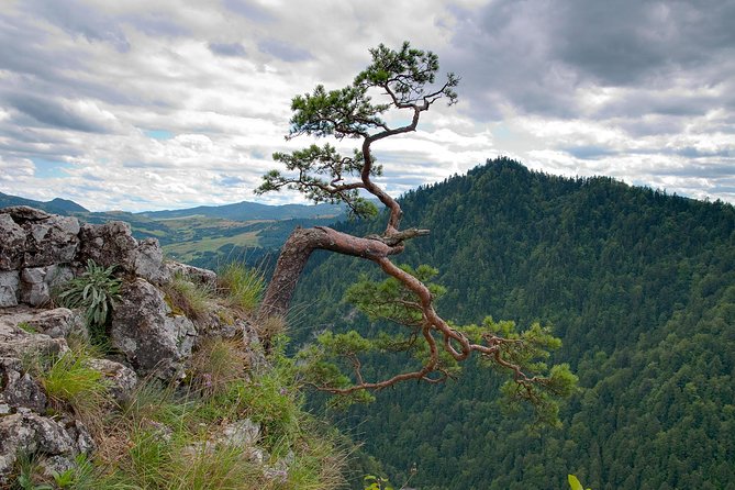 Half-Day Dunajec River Rafting tour from Krakow - Key highlights at a glance