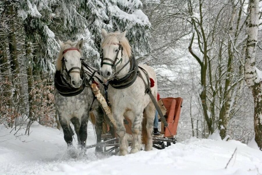 Horse Sleigh 2-3h Ride with Hot Springs or Zakopane Combos - How the day runs: timing, comfort, and what to plan for