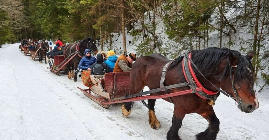 Horse Sleigh 2-3h Ride with Hot Springs or Zakopane Combos - Chocholow village and the wooden chapels: where the region shows its roots
