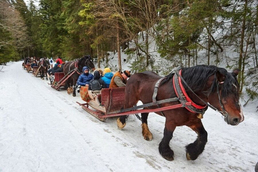 Horse Sleigh 2-3h Ride with Hot Springs or Zakopane Combos - Getting up to Gubalowka: the fast way to Tatra views