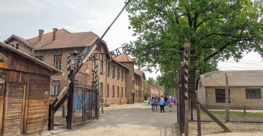 Krakow: Auschwitz and Wieliczka Salt Mine Combo Tour - Getting there from Krakow: early pickup, long day, and real waiting