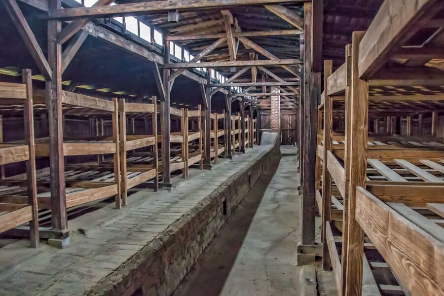 Krakow: Auschwitz and Wieliczka Salt Mine Combo Tour - Auschwitz I and Birkenau: what you’ll actually see