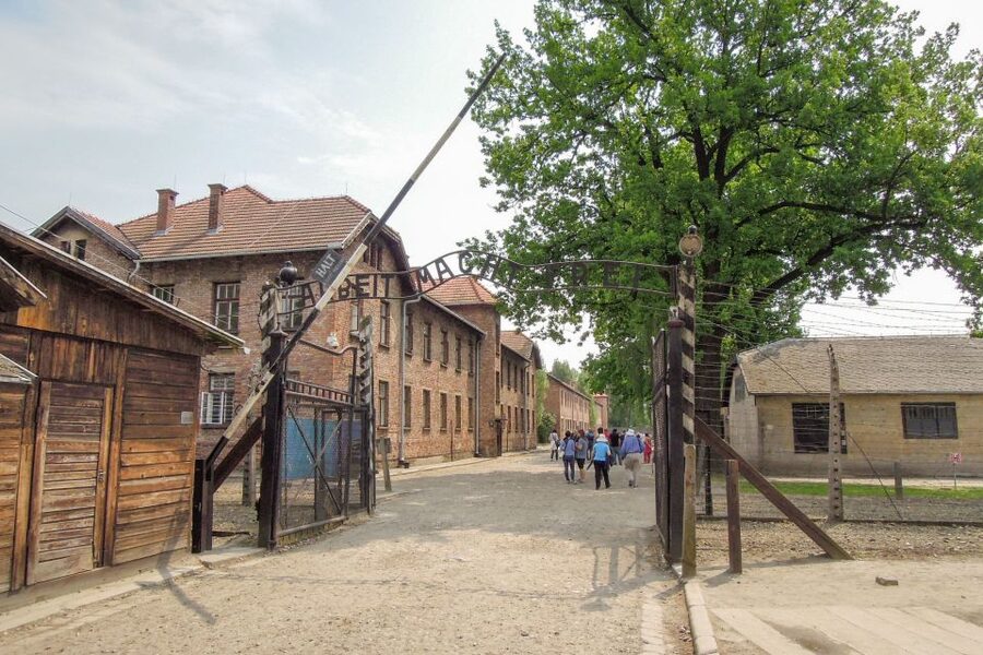 Krakow: Auschwitz and Wieliczka Salt Mine Combo Tour - Price and value for money: what $181 buys you