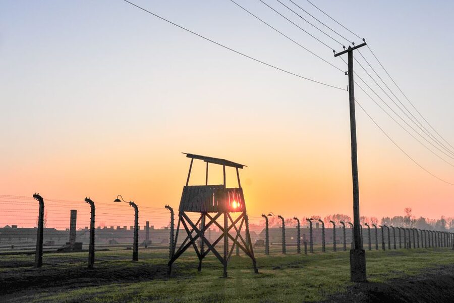 Krakow: Auschwitz-Birkenau and Salt Mine Guided Tour - The mid-day free time: a breather you should actually use