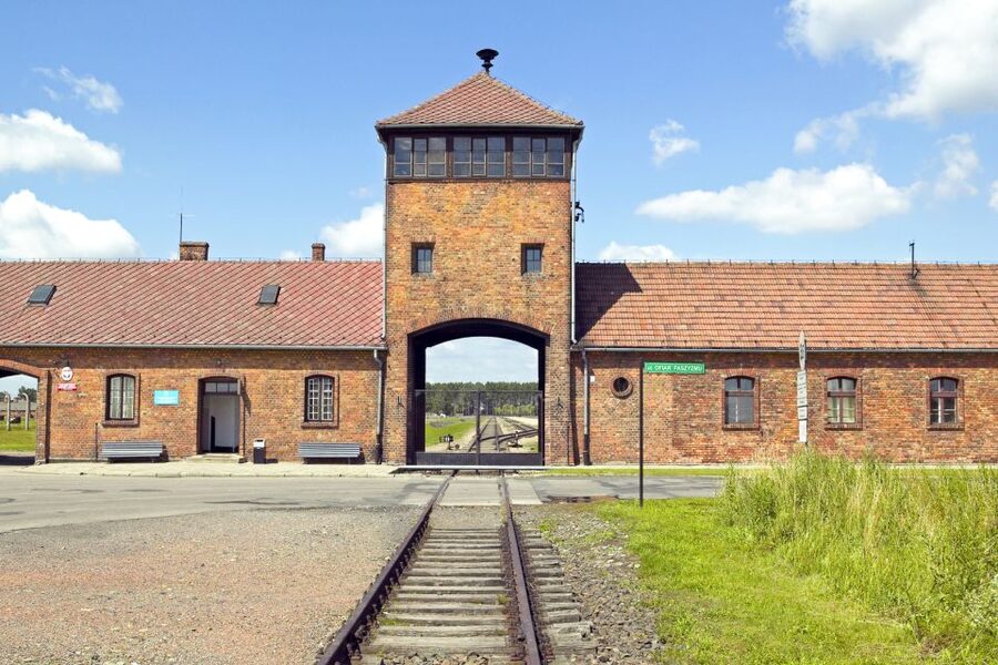 Krakow: Auschwitz-Birkenau and Salt Mine Guided Tour - Price and what $54 really buys you