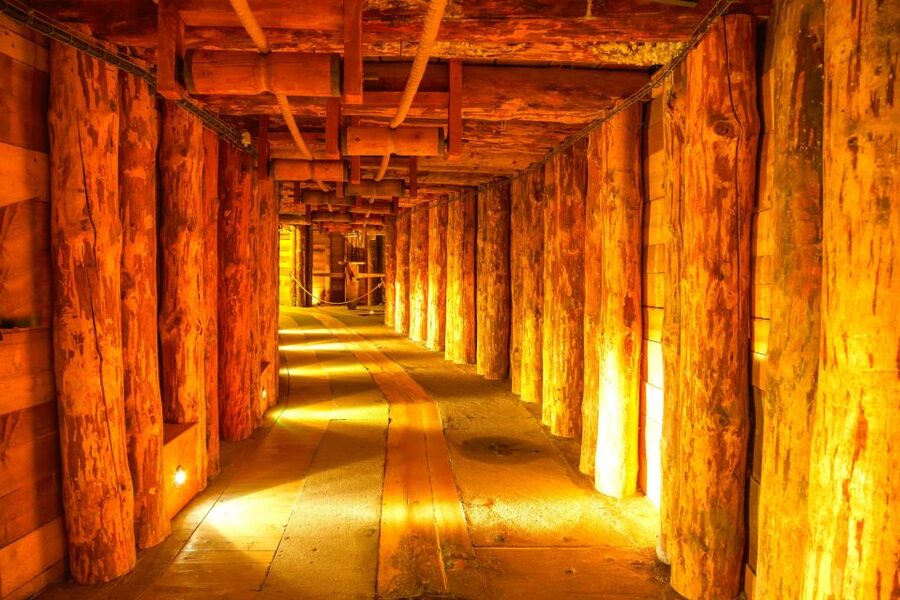 Krakow: Auschwitz-Birkenau and Wieliczka Salt Mine Day Trip - Key things that make this day trip worth your time