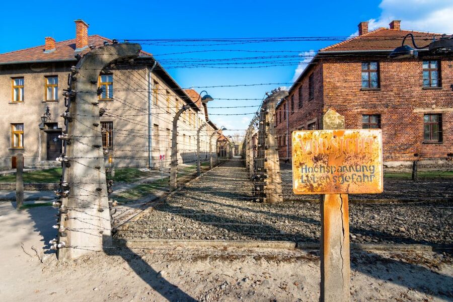 Krakow: Auschwitz-Birkenau and Wieliczka Salt Mine Day Trip - Price and value: what you’re really paying for at $131