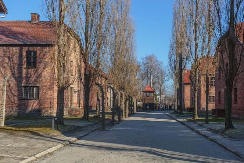 Krakow: Auschwitz-Birkenau Entry Ticket and Transfer - Key highlights you’ll feel in your gut
