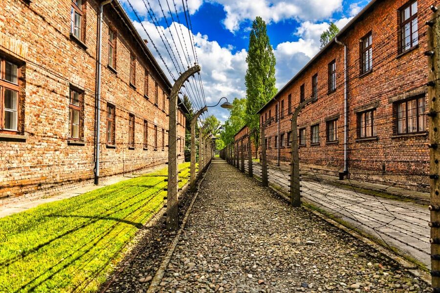 Krakow: Auschwitz-Birkenau Guided Tour and Private Transport - Price and value: what you’re paying for (and what you’re not)